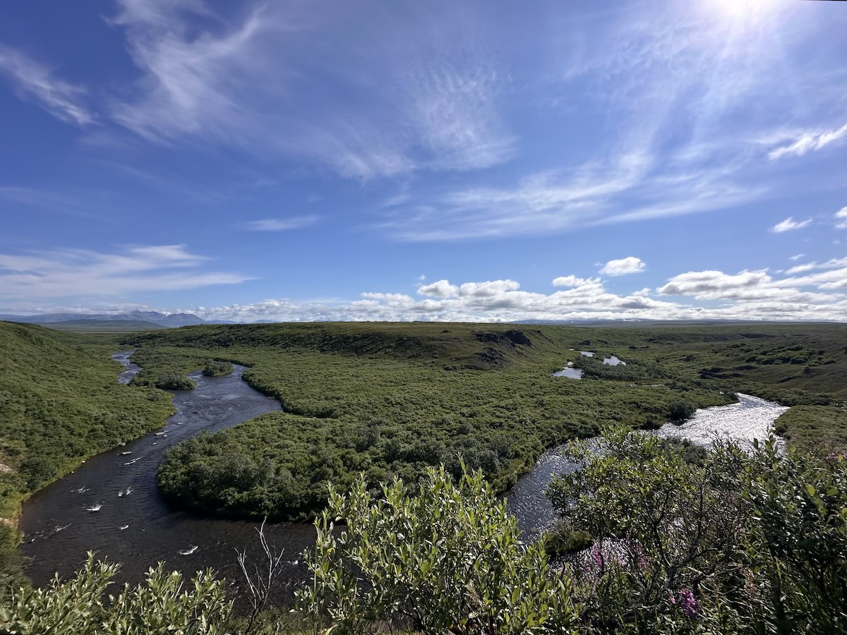 Katmai National Forest Alaska