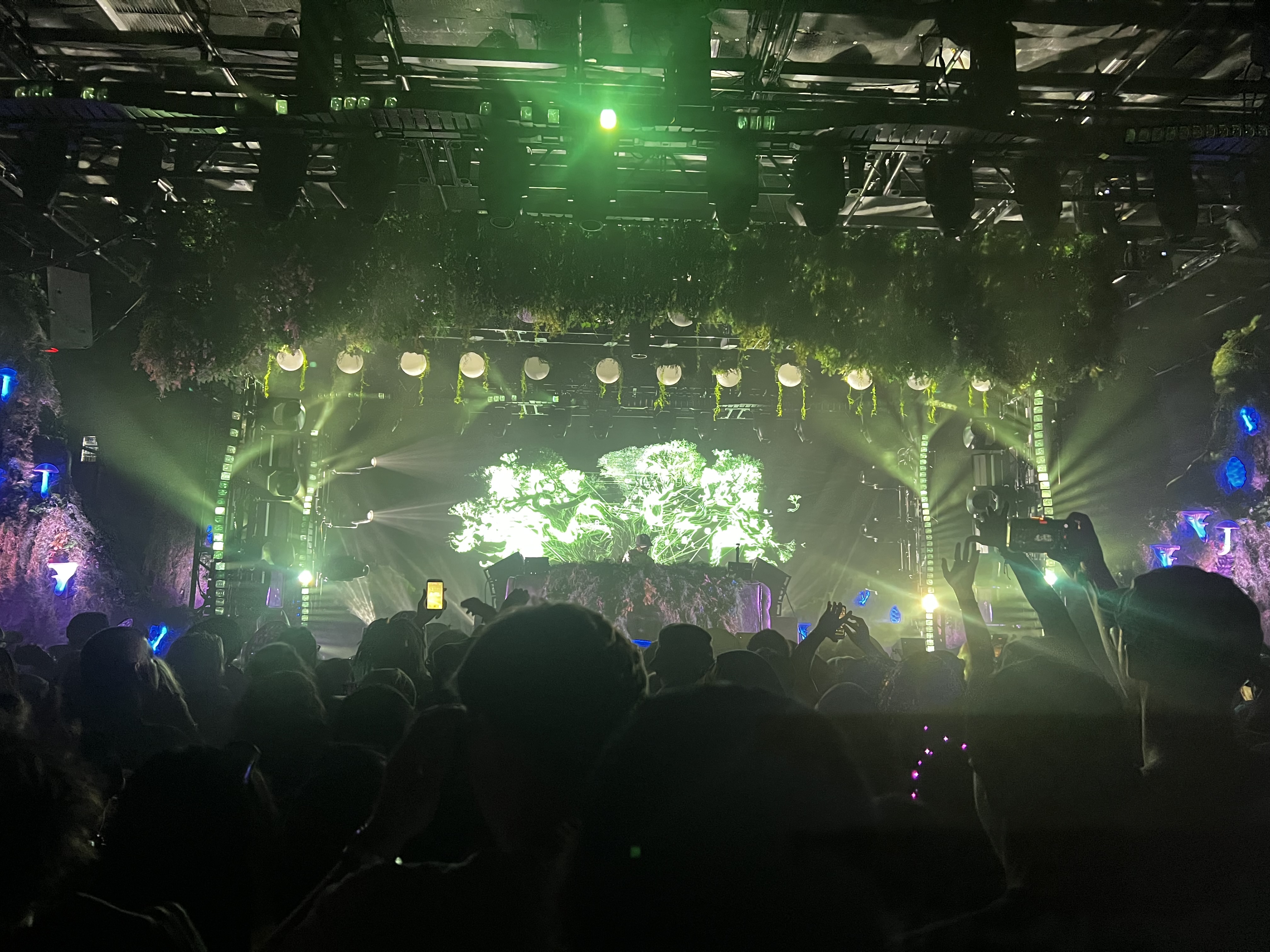 Of The Trees Turns a D.C. Warehouse Into an Immersive Bass Experience—With Richmond Built Into the Formula