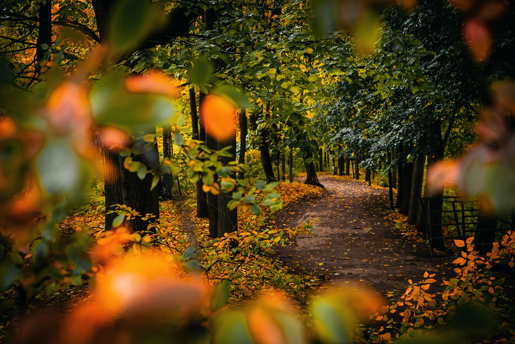 My 10 Favorite Parks in Richmond, VA (And the History Behind Them)