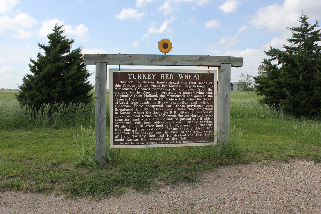 Pamunkey Tribe Buys Historic New Kent Property to Protect Ancient Village Site